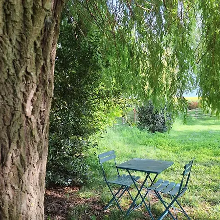 Ferme Renovee En Loft A 20mn De Toulouse 15 Pers Verfeil (Haute-Garonne)