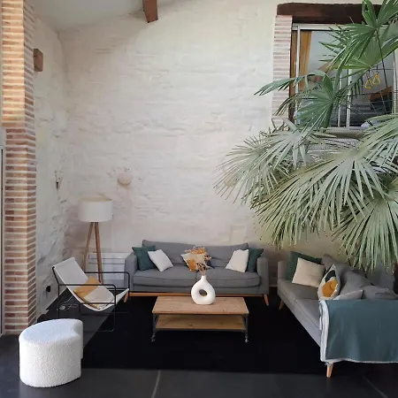 Ferme Rénovée En Loft à 20mn De Toulouse 15 Pers Verfeil (Haute-Garonne)