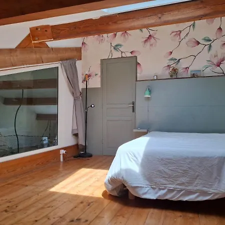 Ferme Rénovée En Loft à 20mn De Toulouse 15 Pers *