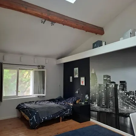 Сasa de vacaciones Ferme Rénovée En Loft à 20mn De Toulouse 15 Pers *